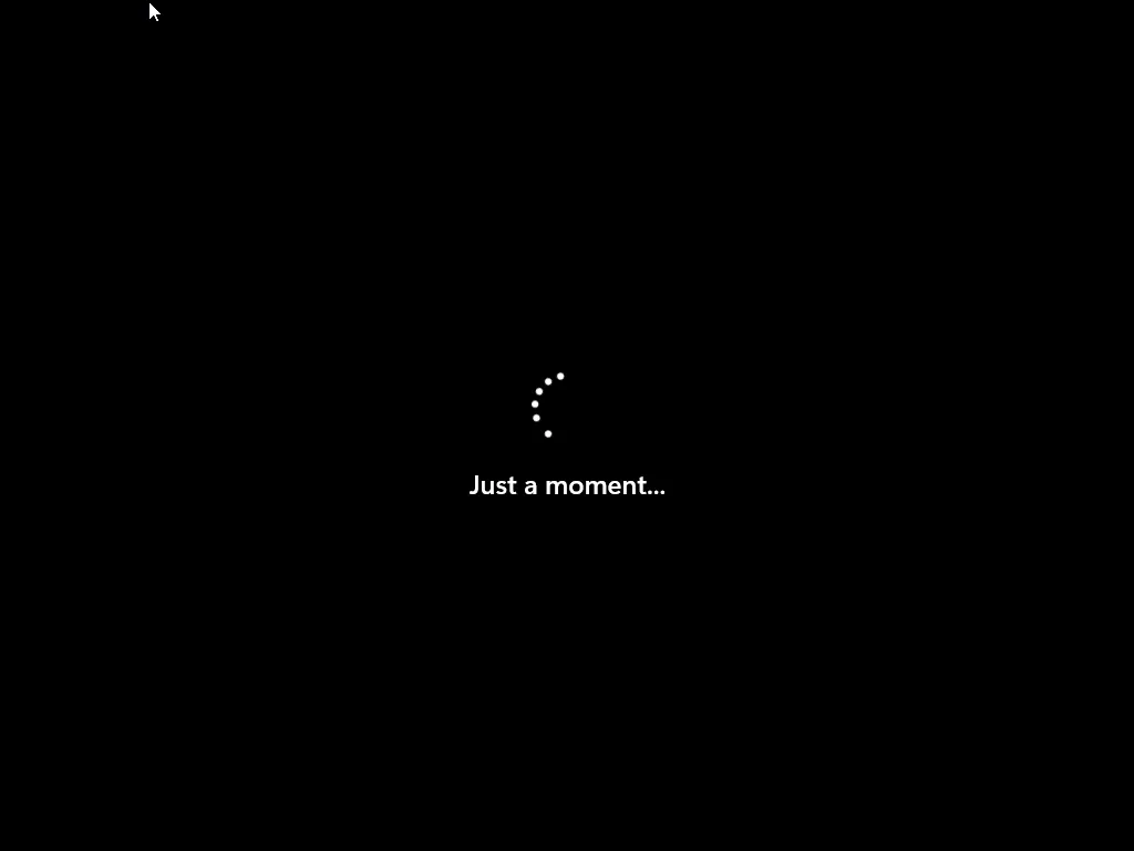 Screen showing dotted spinner just a moment Loading Screen