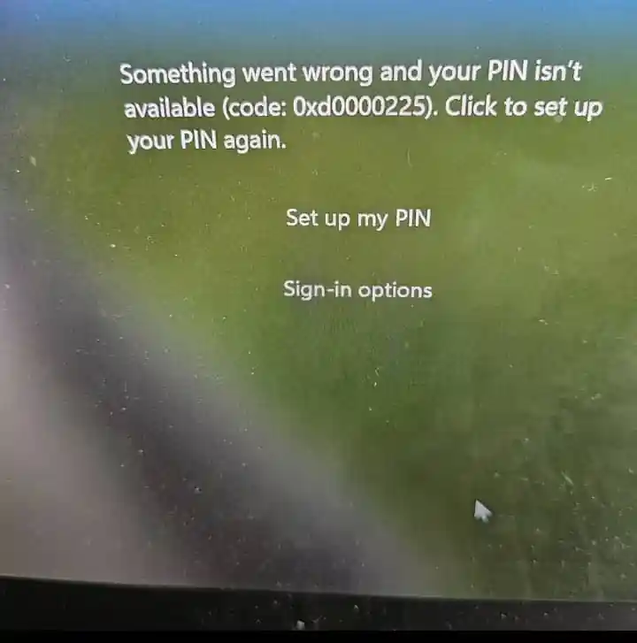 something went wrong with the pin login faliure