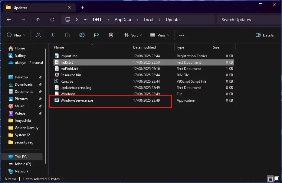 malicious files in appdata malicious folder and files